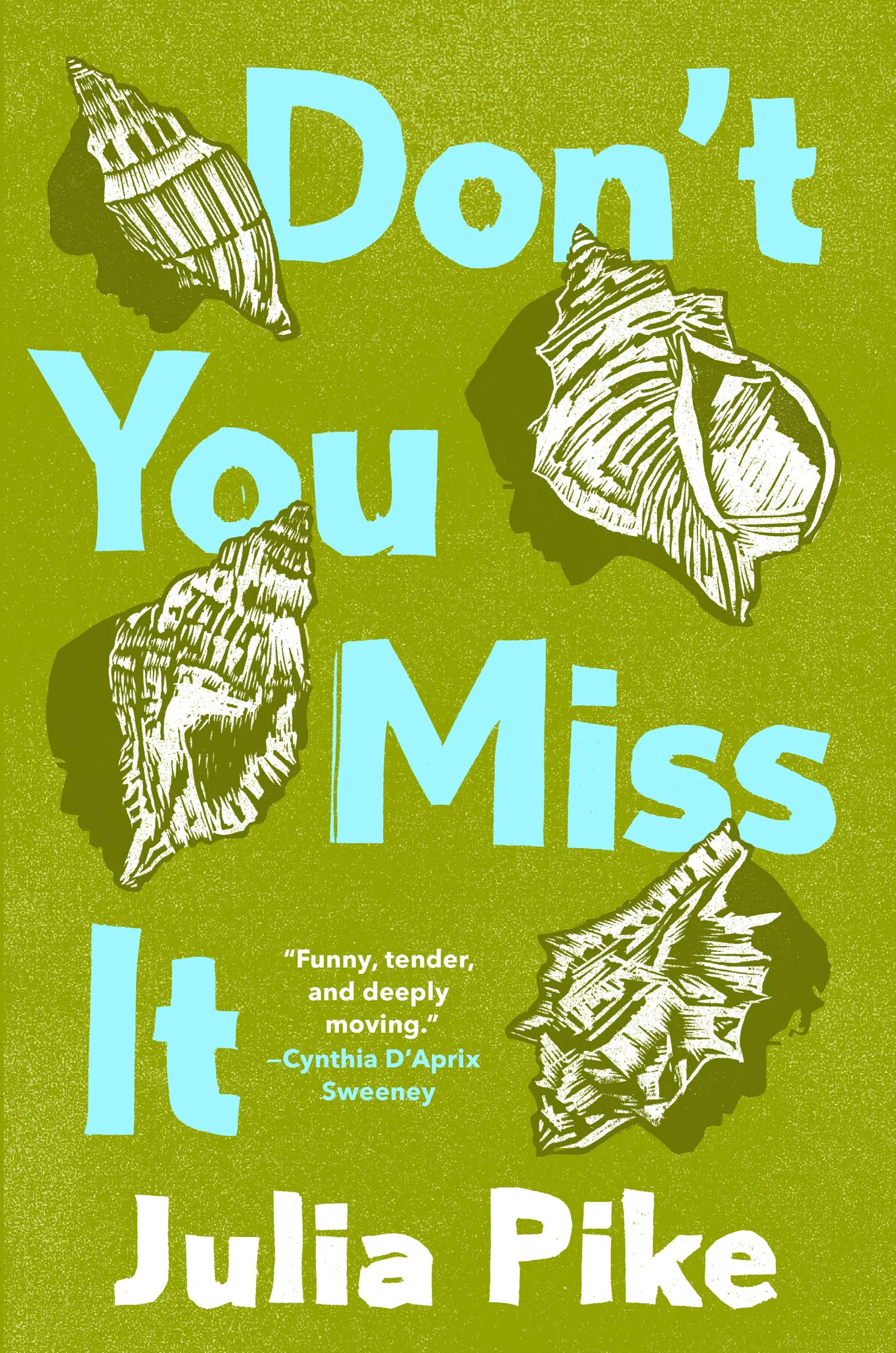 Don't You Miss It by Julia Pike, book cover